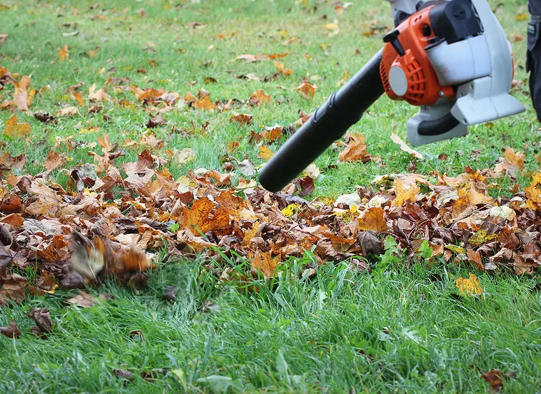 Leaf blower clearing autumn leaves